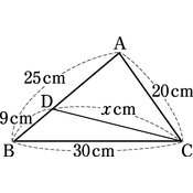 r03knto3ho-101_01 thumb