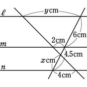 r03smgt3ho_093_02 thumb