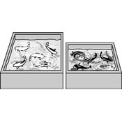 r03smnb3ho_123_01 thumb