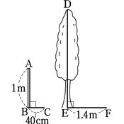 r03smto3ho_098_03 thumb